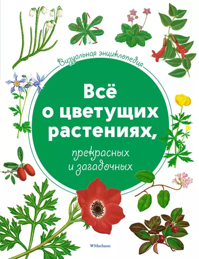 Всё о цветущих растениях, прекрасных и загадочных. Визуальная энциклопедия - фото 1