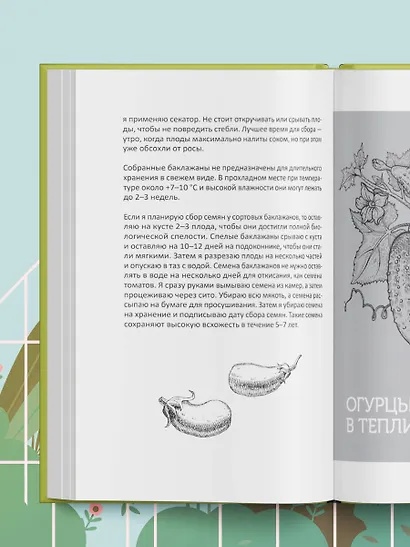 Теплица без ошибок. Все, что нужно знать, чтобы получить ранний и богатый урожай - фото 9
