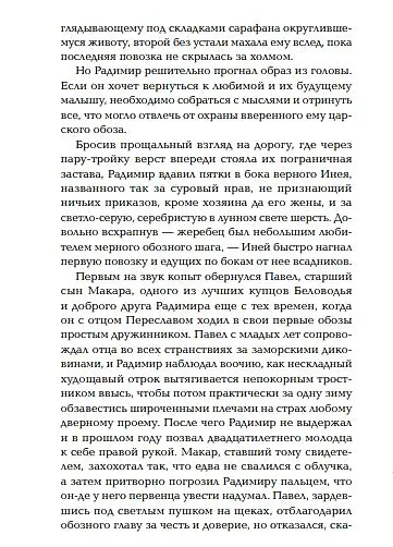 Тень ворона - фото 5