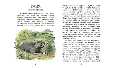 Акула - фото 3