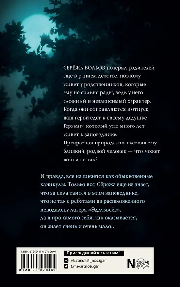 Темнейджеры. Каникулы в Чернолесье - фото 2