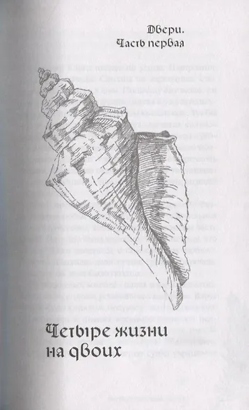 Двери города книг - фото 5