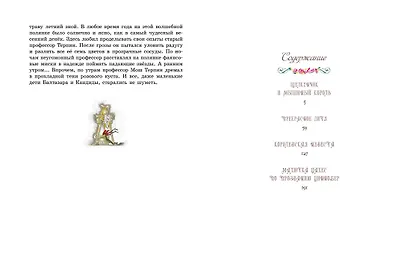 Щелкунчик и другие волшебные сказки - фото 9