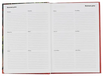 Ежедневник недат. А5 128л "Уют" 7БЦ, ламинация soft touch, офсет - фото 5