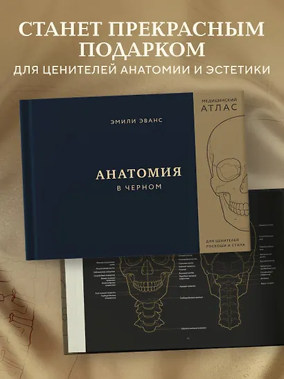 Анатомия в черном. Медицинский атлас для любителей роскоши и стиля - фото 10