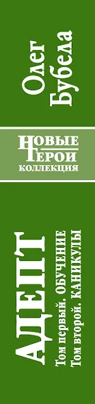Адепт: Обучение. Каникулы - фото 4
