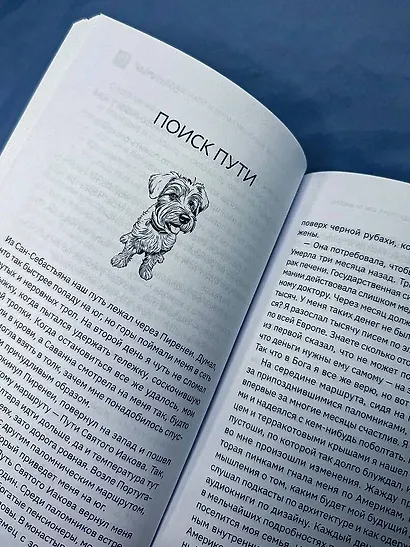 Большая кругосветная медитация. Шаг за шагом: 7 лет, 6 континентов, 45 000 километров - фото 10