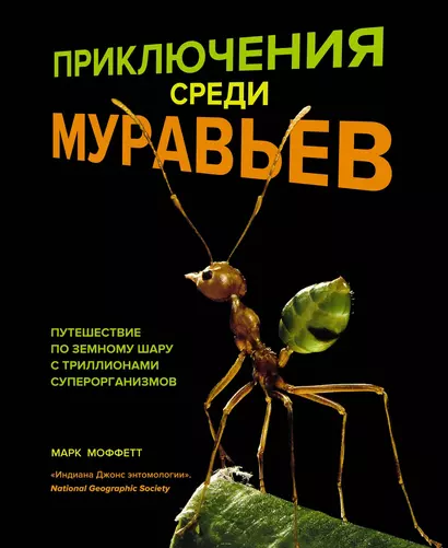 Приключения среди муравьев. Путешествие по земному шару с триллионами суперорганизмов - фото 1