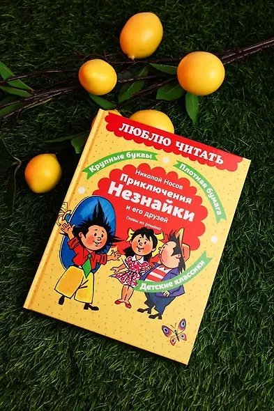 Приключения Незнайки и его друзей. Главы из романа - фото 8