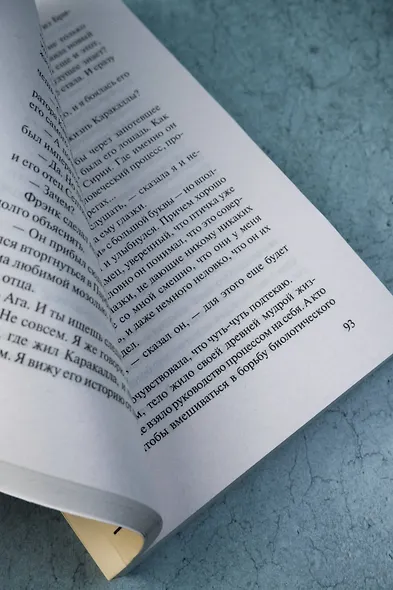 Непобедимое солнце - фото 9