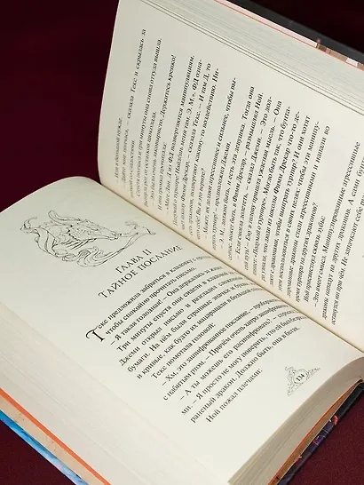 Смарагур. Книга 1. Остров драконов - фото 11