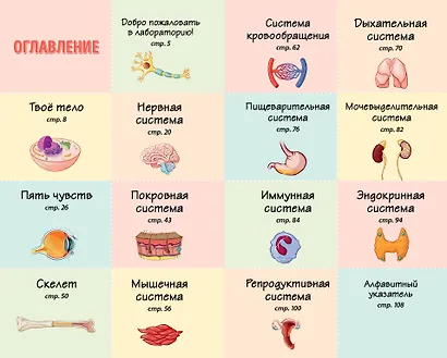 Тело человека. Домашняя лаборатория для детей - фото 4