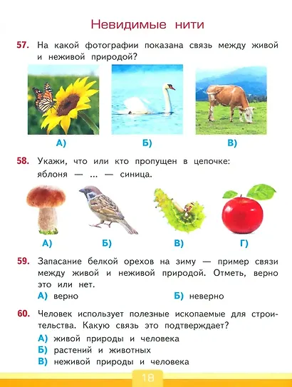 Окружающий мир. 2 класс. Тесты к учебнику А.А. Плешакова "Окружающий мир. 2 класс. В 2-х частях". ФГОС НОВЫЙ (к новому учебнику) - фото 4