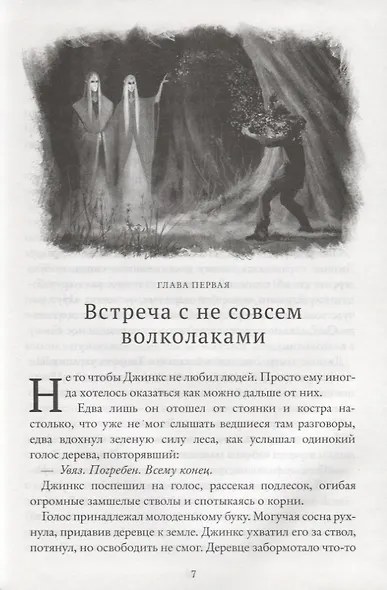 Магия Джинкса. Книга вторая - фото 4