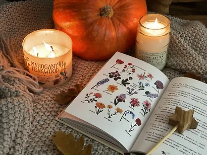 Твоя волшебная сила. 40 ритуалов, чтобы наполнить жизнь чудесами - фото 12