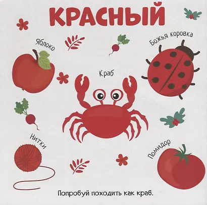 Цвета - фото 2