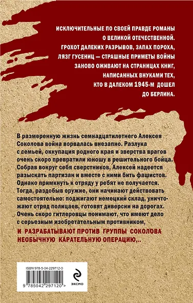 Семнадцатилетний генерал - фото 2