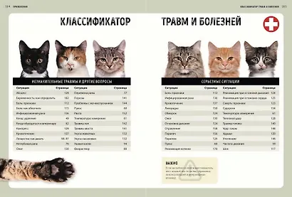 Первая помощь кошкам. Осмотр, действия в экстренных ситуациях, аптечка первой помощи, здоровье - фото 8