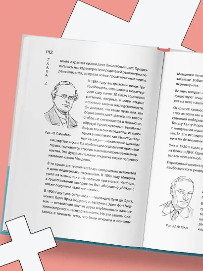 Удивительное тело. Почему наше тело самое нелепое и гениальное создание природы - фото 12