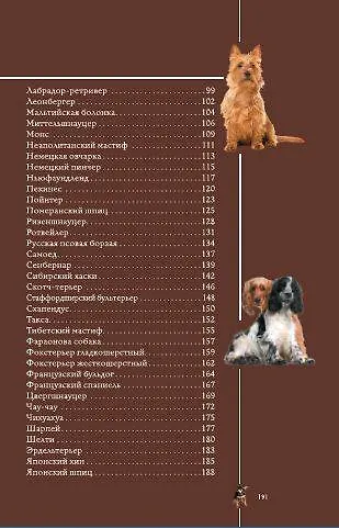 Собаки. Популярный иллюстрированный гид - фото 7