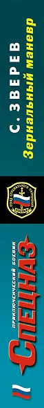 Зеркальный маневр - фото 5