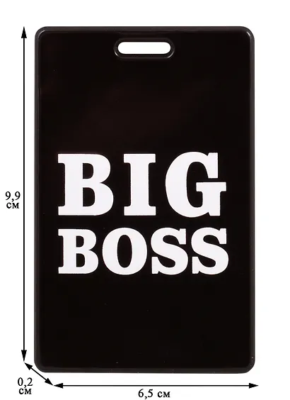 Чехол для карточек Big boss (ДГ2021-264) - фото 3