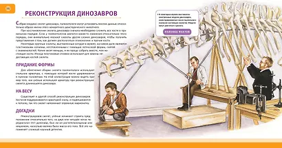 Динозавры. Полная энциклопедия - фото 12