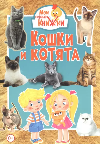 Кошки и котята - фото 1