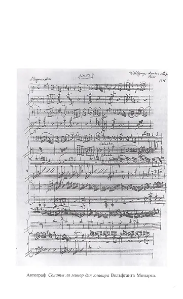 Моцарт. Соната мотылька - фото 3