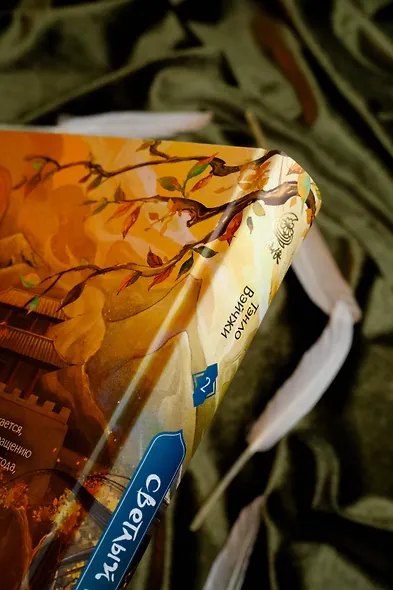 Светлый пепел луны. Книга 2. Новелла - фото 9