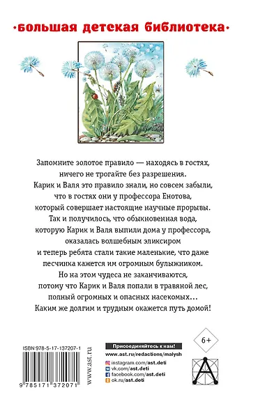 Необыкновенные приключения Карика и Вали - фото 2