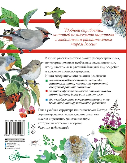 Большой определитель зверей, амфибий, рептилий, птиц, насекомых и растений России - фото 2