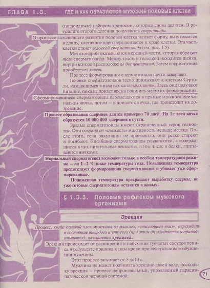 Энциклопедия. Мы ждем ребенка. Таинство зачатия. Счастливая беременность. Успешные роды - фото 6