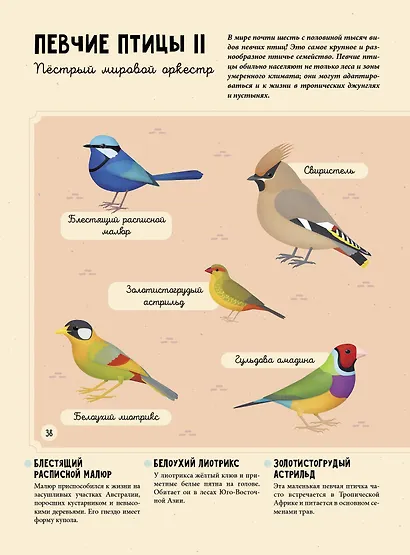 Птицы - фото 10