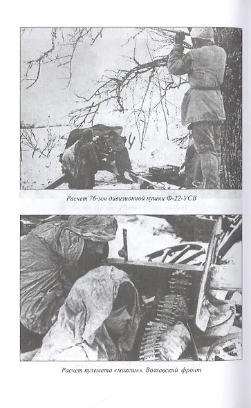 Битва за Новгород. Январь 1944 г. - фото 3