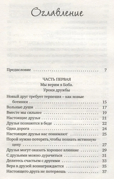 Тайна уличного кота - фото 2