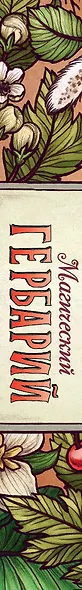 Магический гербарий. 36 карт с посланиями от волшебных растений (Оракул. 36 карт и руководство в коробке) - фото 9