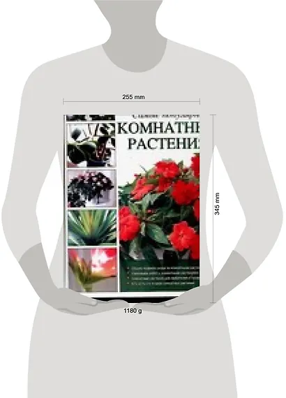 Самые популярные комнатные растения: Новейшая энциклопедия - фото 2