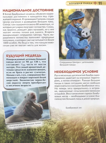 Красная книга. Детская энциклопедия - фото 4