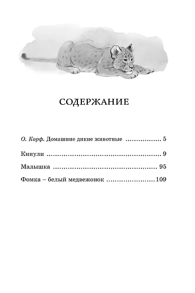 Фомка - белый медвежонок - фото 7