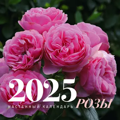 Календарь 2025г 300*300 "Розы" настенный, на скрепке - фото 1