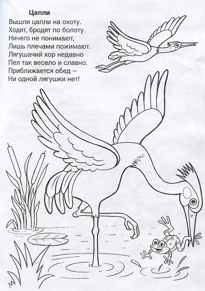 Кто летает в небе - фото 5