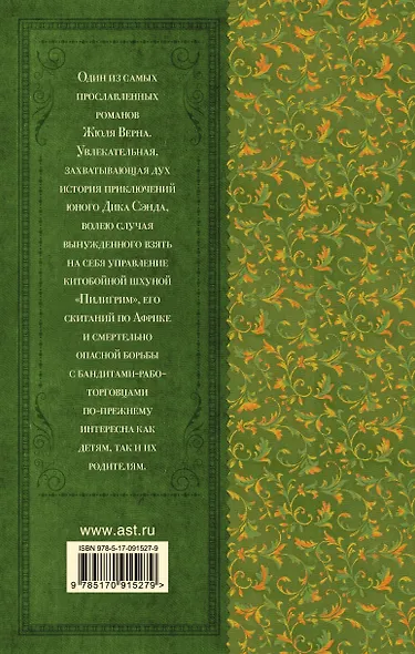 Пятнадцатилетний капитан: роман - фото 2