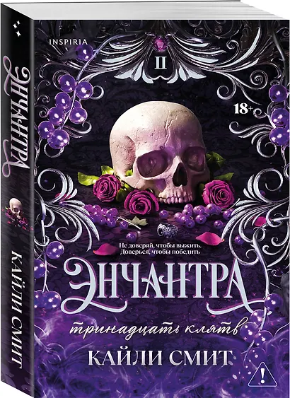 Энчантра. Тринадцать клятв - фото 3