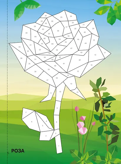 Живая природа - фото 4