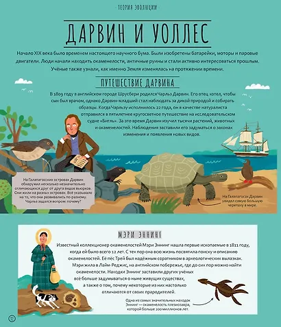 Чудеса эволюции. Путешествие во времени - фото 4