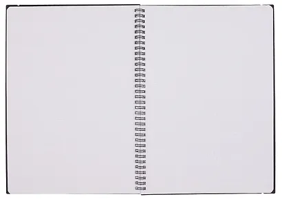 Тетрадь А4 80 листов, клетка, "Favorite Black. No 4" спираль - фото 3