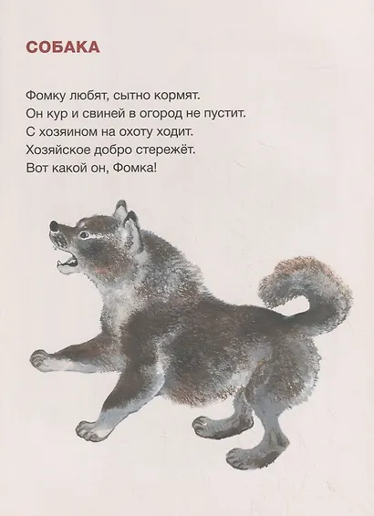 Вот они какие - фото 4