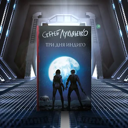 Три дня Индиго - фото 8