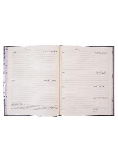 Дневник для муз.школ "Дизайн 3 (23)" 7БЦ, мат.ламинация, тиснение фольгой «Золото» - фото 5